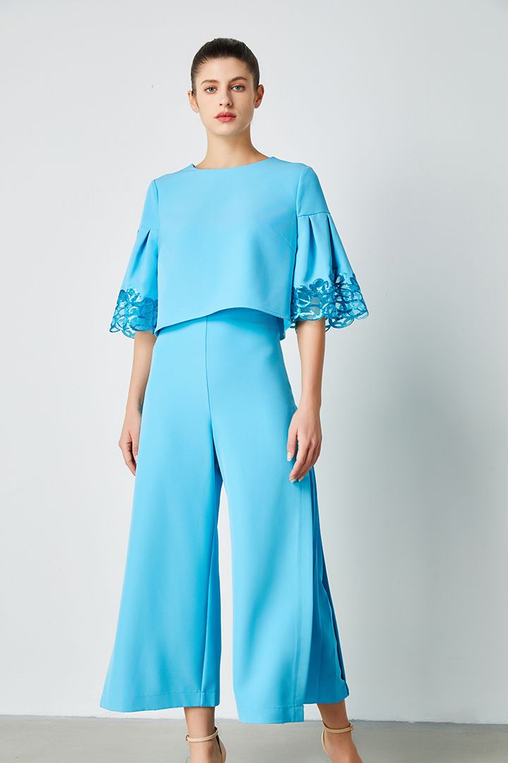 Ruffled Short Sleeves Blouse