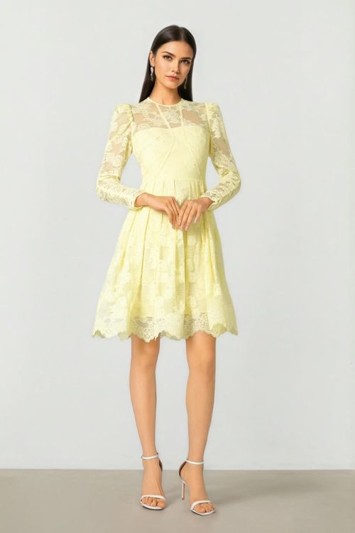 Lace Mini Dress