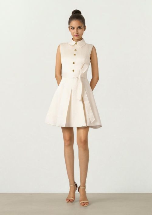 Organza Mini dress